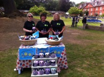 Owls Elstree fete